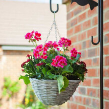 Smart Garden Sable Willow Hanging Basket - 14in