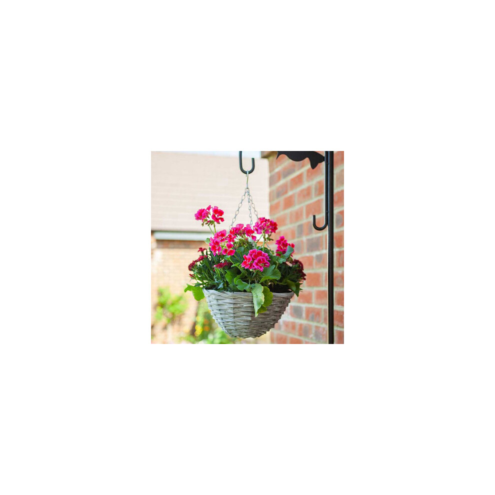 Smart Garden Sable Willow Hanging Basket - 14In