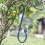 Smart Garden Smart Garden Forge Tree Hook - 6" 1