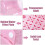 Baby Bottle Storage Box with Lid, Visible DustProof Organizer Case, Durable PP Feeding Bottle Container 4