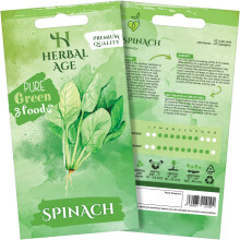 HERBAL AGE Spinach Seeds Plants, Grow Your Own Herb Garden Kit, ~200 Seed Box, Salad Herbs Seeds for Planting UK, Veg Plant Gardening Gift for Men, W