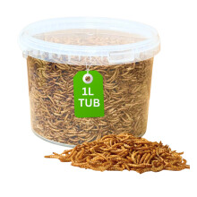 Premium Mealworms Wild Bird Food, Protein Food for All Species, Natural High Energy Feed, No Mess Bird Food for All Birds (1L Tub, Mealworms)