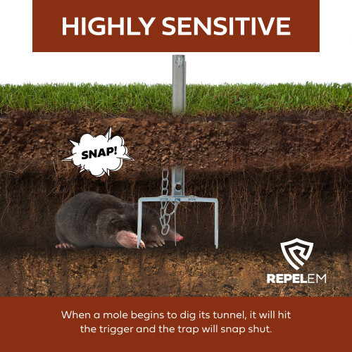 REPELEM Easy Set Scissor Mole Traps, Reusable Mole Trap, Rust-Free Garden Protection, Humane Vole & Mole Killer, Powerful Mole Deterrent | Large, Pac 1