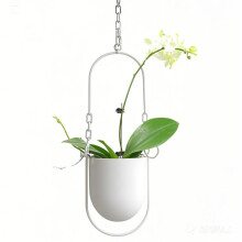 Beihaoer Hanging Decoration Pot Metal Boho Hanging Basket Ceiling Planter for Indoor Plants Succulents Air Plants Cactus (White)
