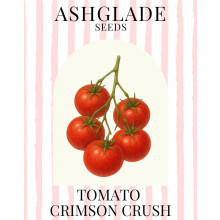 Tomato Crimson Crush F1 Vegetable Seeds, 10 Seeds, Sow: Feb-Apr