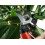 Okatsune 103 Bypass Secateurs 4