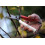 Okatsune 103 Bypass Secateurs 2