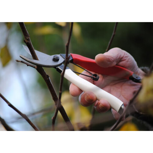Okatsune 103 Bypass Secateurs 1