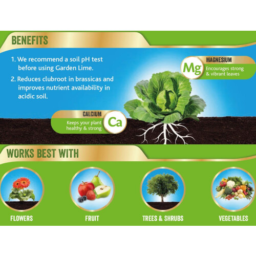 Westland Westland Lime Soil Conditioner, Natural, 4 kg 1