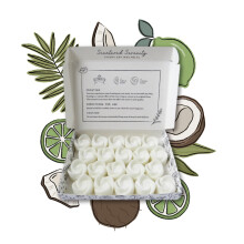 Coconut + Lime Wax Melts| Strong Scented| 20 Pack| Luxury Gift Set Wax Melts| Over 96 Hrs Burn Time, Pet Friendly| Eco Friendly| Hand Poured in Staff