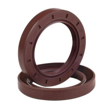 2pcs FKM TC Shaft Oil Seal 20x45x8mm Double Lip Fluororubber with Spring for Leak Prevention
