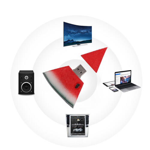 Πρωτοποριακή μονάδα flash USB σε σχήμα καρπουζιού, μονάδα flash USB υψηλής χωρητικότητας 2