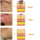 (1pc) Tag Recede Bee Venom Treatment Spray 2024 4