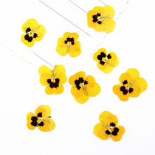 120pcs Dried Pressed Pansy and Corydalis Flowers for Jewelry Making, Scrapbooking, Cards