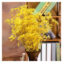 Lemon Yellow Dried Flowers Bouquet 80100g Preserved Babysbreath for Wedding and Home Decor