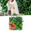Artificial Grass Panel 25x25cm PP Leaf Wall Mat for Terrace, Bathroom and Home Decor Style E 4