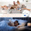 Carbon Monoxide Detector with LCD Display for Home Kitchen Garage Safety Battery Powered 4