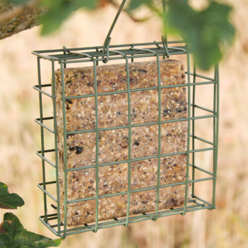 Wing & Wild Suet Block Bird Feeder 2