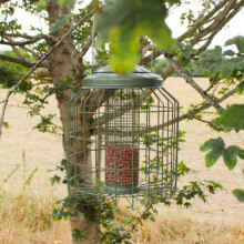 Wing & Wild Heavy Duty Squirrel Proof Peanut Feeder 29cm - Steel Caged Hanging Peanut Bird Feeder
