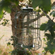 Wing & Wild Squirrel Proof Peanut Feeder 26cm - Caged Hanging Peanut Bird Feeder for Small Birds