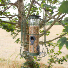 Wing & Wild Squirrel Proof Bird Feeder for Seed 26cm - Caged Seed Feeder with 4 Ports