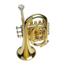 Professional Mini Bb Brass Trumpet for Beginners and Adults with Rich Tone and Easy Play
