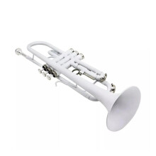 Professional B Flat Brass Trumpet for Adults with Bright Powerful Sound and Durable Construction