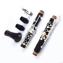 Professional 17Key Bb Ebony Clarinet with Durable NickelPlated Keys and Rich Resonant Tone