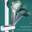 Universal Adjustable Shower Head Holder 1530mm, 360 Rotating AntiSlip Replacement Bracket, Black 5