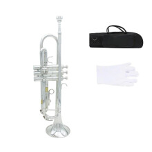 Bb Brass Trumpet for Beginners and Professionals with Case, Gloves, Bright Powerful Sound