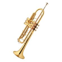 Beginner Bb Trumpet for Adults with Clear Tone and Responsive Valves Durable Brass Construction