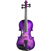 1/4 Size Kids Violin Beginner Student with Case Bow Shoulder Rest Metal Strings Purple