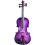 1/4 Size Kids Violin Beginner Student with Case Bow Shoulder Rest Metal Strings Purple 1