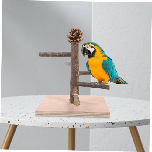Bird Training Perch Adjustable Parrot Stand Portable Tabletop Play Rack for Climbing and Chewing 2