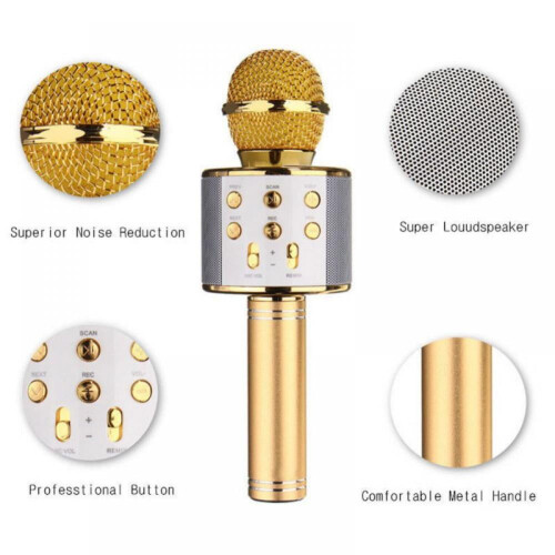 US Wireless Bluetooth Speaker Karaoke WS-858Microphone Portable USB Player KTV 2