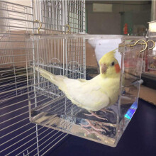 Bird Bath Acrylic Hanging Shower for Cockatiel Parakeet Cage Transparent Portable House Pack of 1