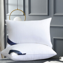 JeashCHAT Luxe Dons & Veren Hoofdkussen, 51 x 71 cm, Wit - Hotelcollectie voor Rug-, Buik- en Zijslapers