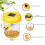 Παγίδα για σφήκες, Πακέτο 2 παγίδων για σφήκες εξωτερικού χώρου, Παγίδα σφηκών, 2