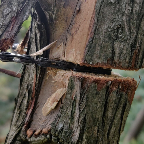 Πριόνι συρματόσχοινου με φερμουάρ, εργαλείο πριονίσματος με υφασμένη αλυσίδα, 2