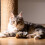Melody Chaser, peluche interattivo per cani e gatti a forma di uccellino. 3