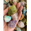 Mistura Bruta Natural de Madagascar, Qualidade Premium, Pedras Brutas Naturais de 1 a 2 Polegadas 1