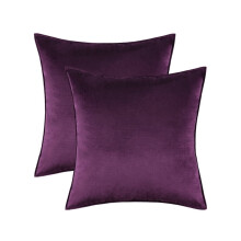 Cterwk Set van 2 zachte fluwelen sierkussenhoezen met rits, decoratieve effen vierkante kussenhoezen voor slaapkamer, auto, bank, fauteuil, 20x20 inch