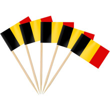 YZhouD Argentijnse vlag tandenstokjes - 200 stuks cupcake toppers, cocktailprikkers voor COPA America 2024, Olympische Spelen en nationale feestdag