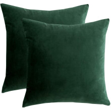 Cterwk2Pack Fluweelzachte Effen Sierkussenhoezen Decoratieve Vierkante Kussenhoes voor Bank Slaapkamer Auto22x22Inch