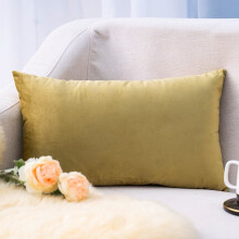Cterwk fluwelen kussenslopen met rits, superzachte luxe kussenslopen/kussenhoezen voor bank, fauteuil of bed