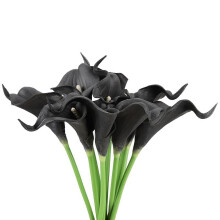 JANDEL Lot de 20 fleurs artificielles de lys calla en latex noir, au toucher réaliste, pour la décoration de mariage et d'intérieur.