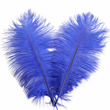 Déstockage TenYiLy Plumes colorées d'environ 32 cm pour décoration de mariage, composition florale et décoration de vêtements de scène