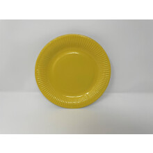 9 Inch Yellow Paper Party Plates 15 Pack Disposable Design for Birthdays and All Occasions
