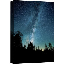Leinwandbild „Sternenwald“ in Marineblau & Türkis – 61 x 91 cm (24 x 36 Zoll), rustikales Naturmotiv für Schlafzimmer, ruhige und gemütliche