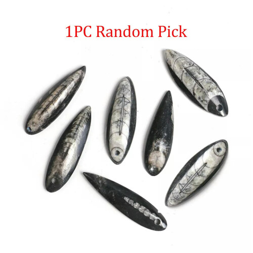 RSAMD Random1PC4-6cm Orthoceras0Μενταγιόν για κολιέ ΜΑΡΟΚΟ Κοσμήματα με πέτρες 2